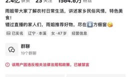 塌房两年后“东北雨姐”拟3500万出售电商孵化基地