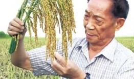 200万粉网红诋毁袁隆平事件升级！除了封号还有2大噩耗等着他